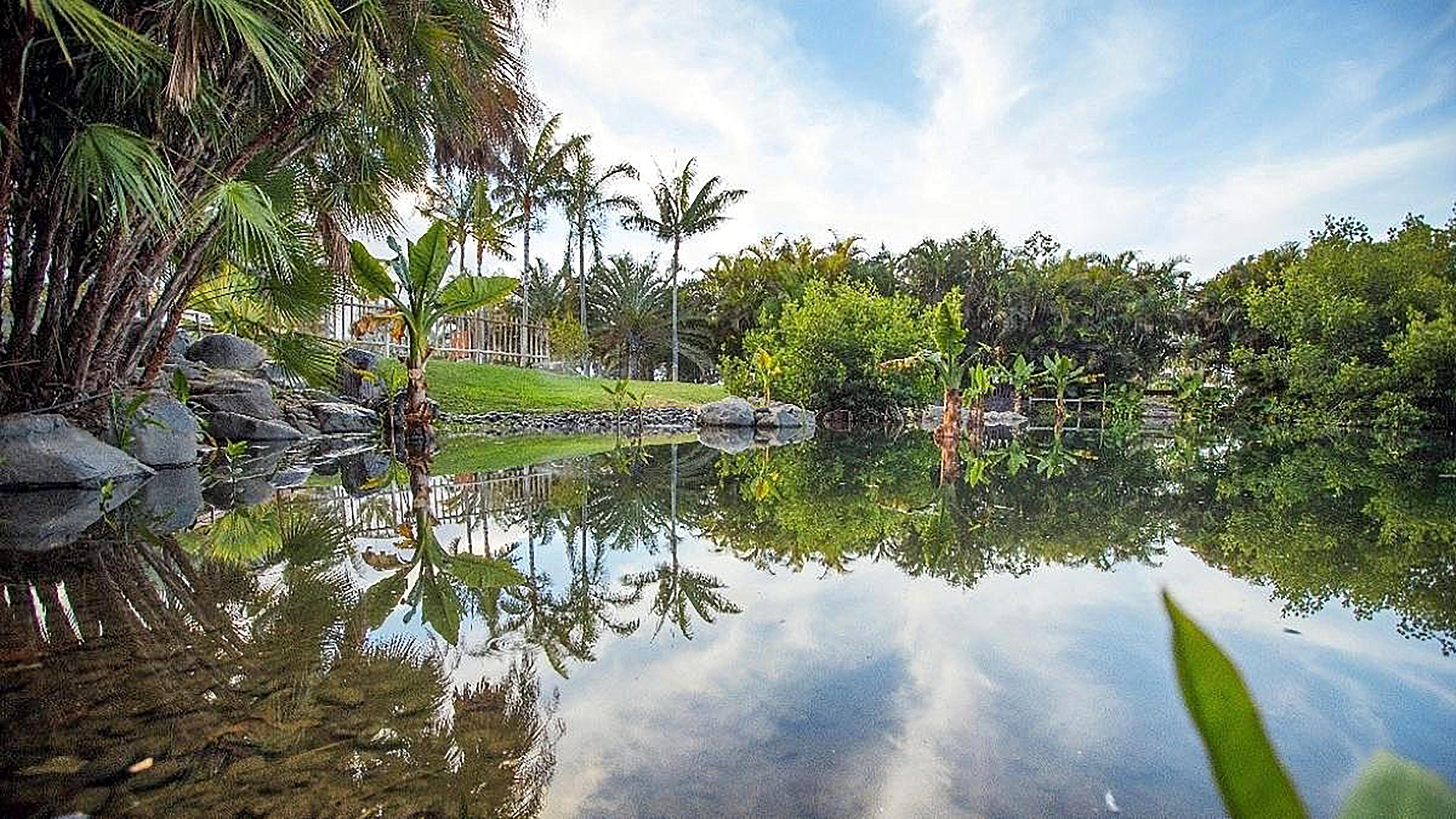 Hotel Adonis Plaza Санта-Крус-де-Тенеріфе Екстер'єр фото
